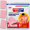 Japanese Imported Pain Relief Patches